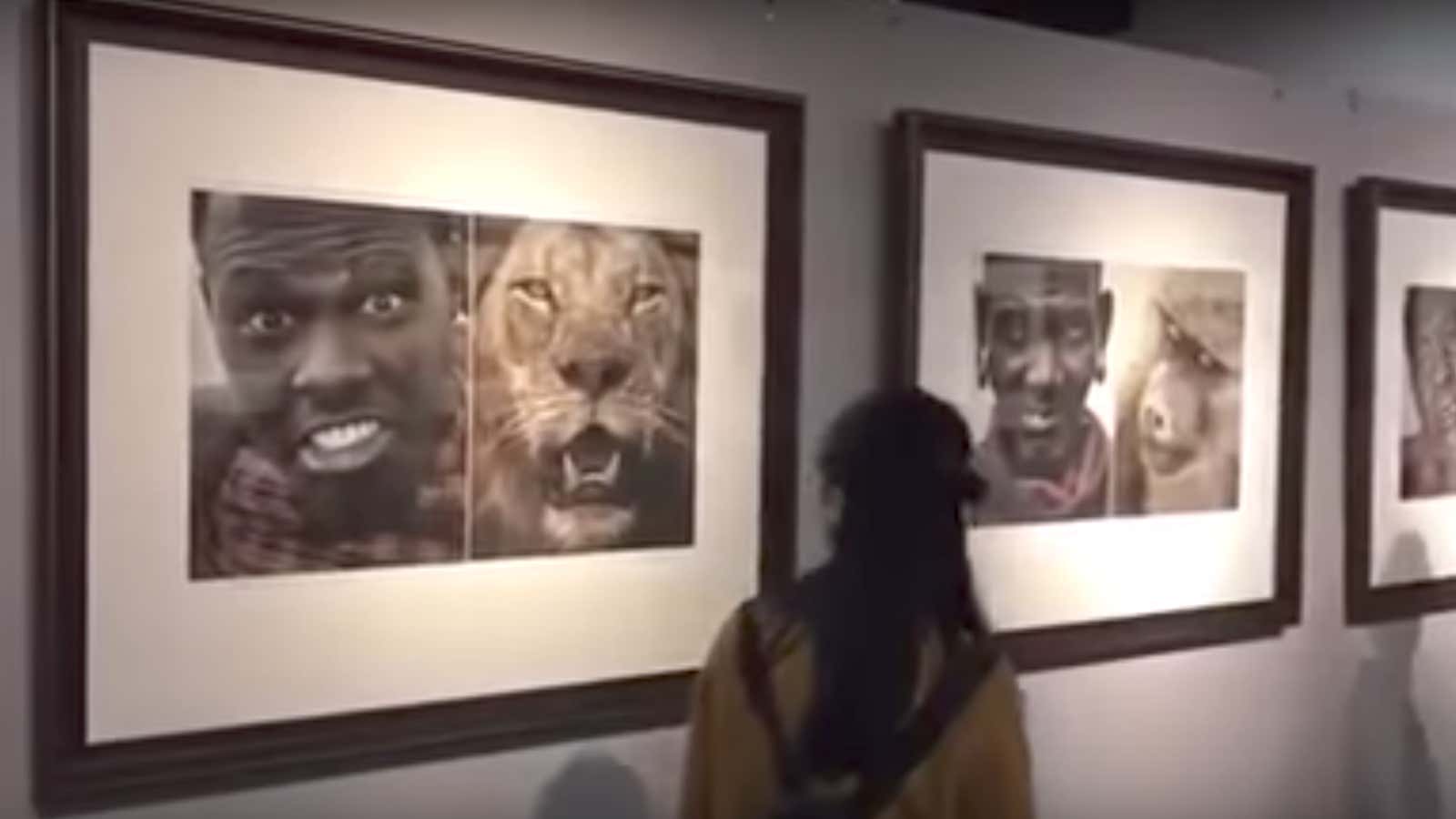 The portraits of Africans alongside animals.