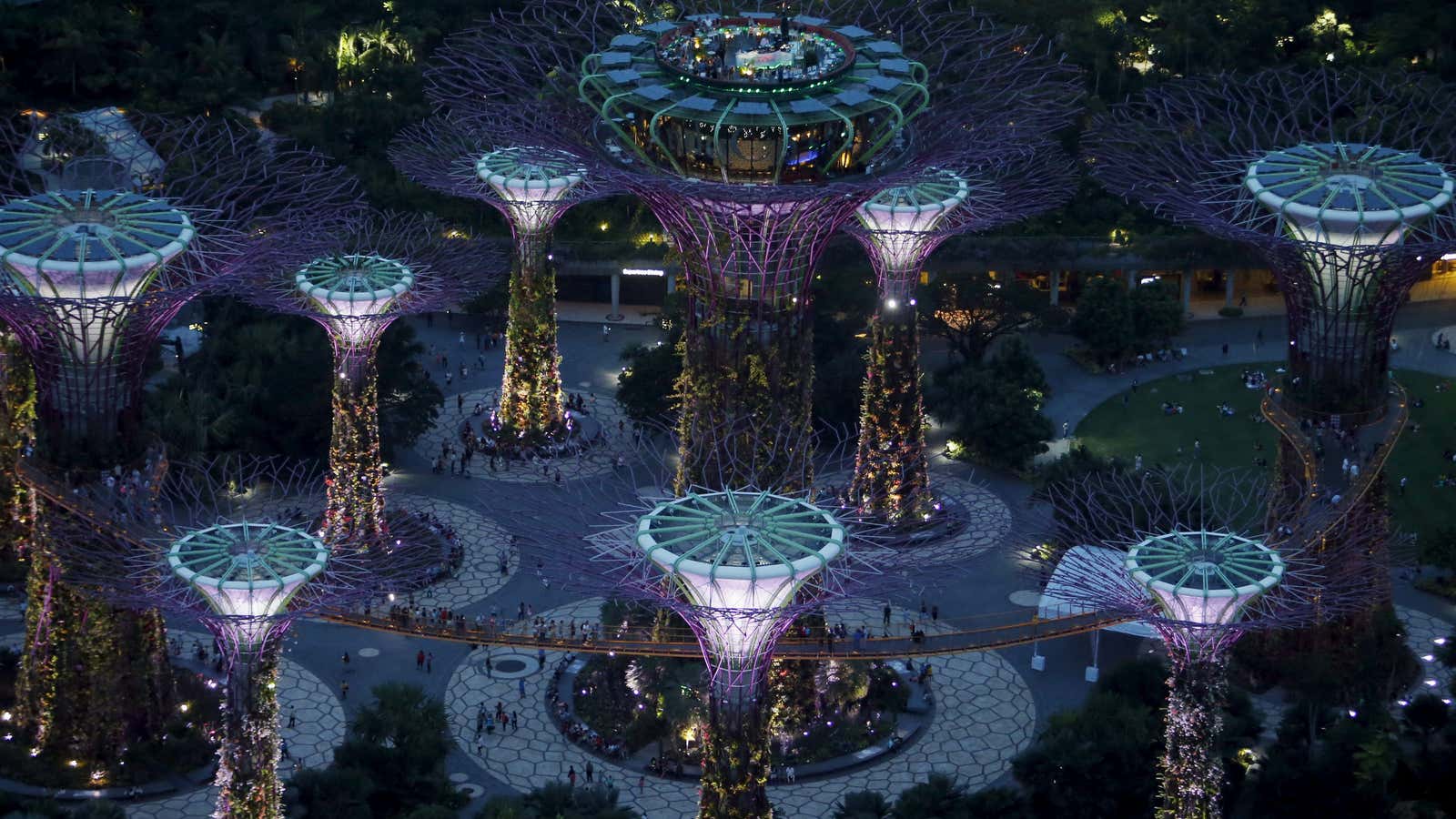 Solar-power “trees” in Singapore.