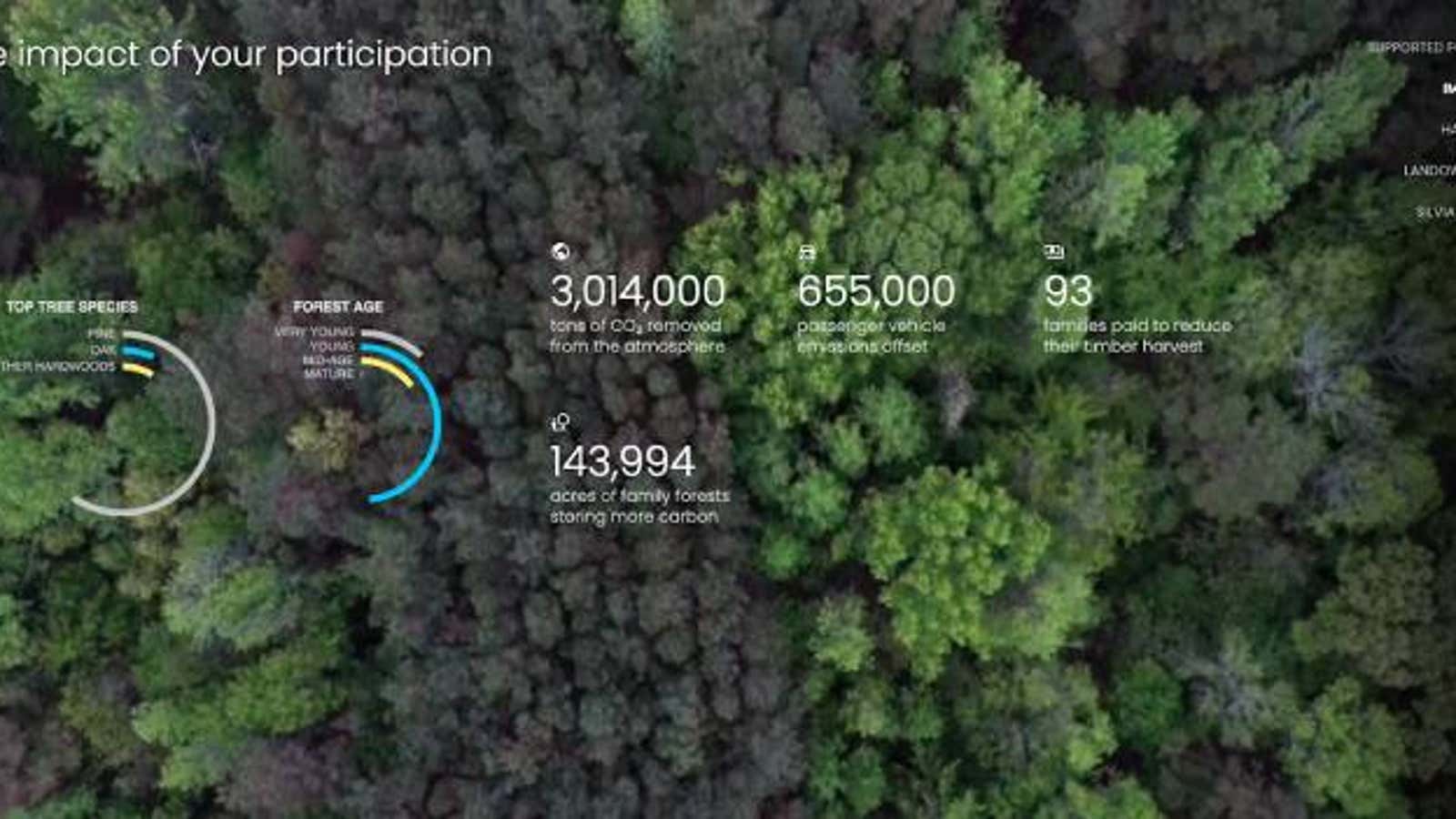 Startup：世界の森を可視化するクライメイトテックの新星