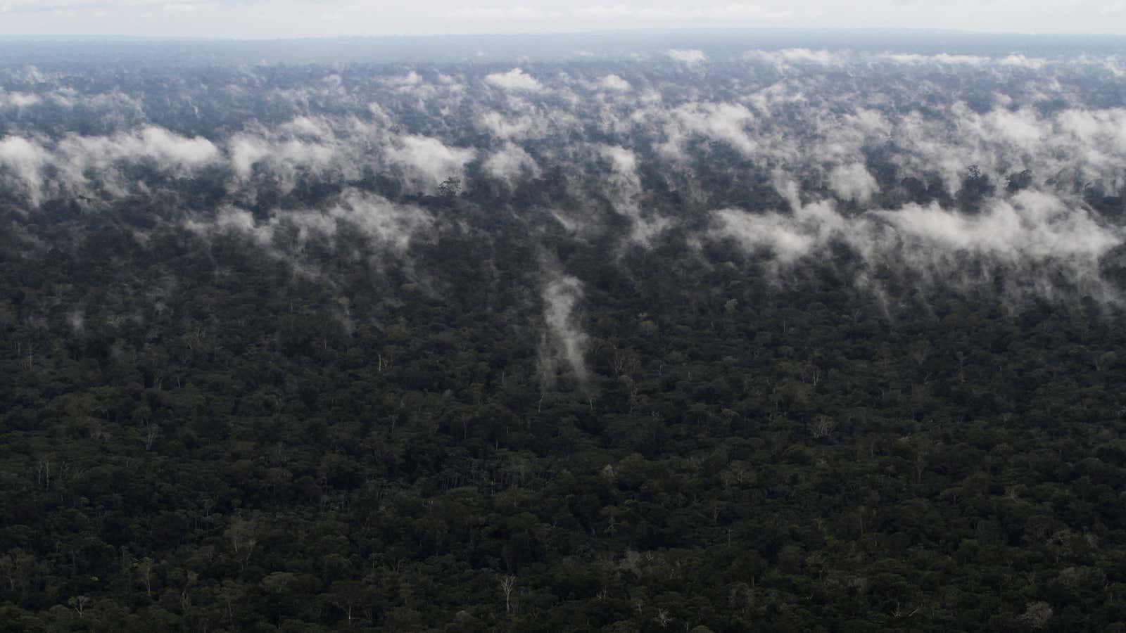 An aerial view shows the Amazon rainforest near the city of Santarem, Para State, Brazil