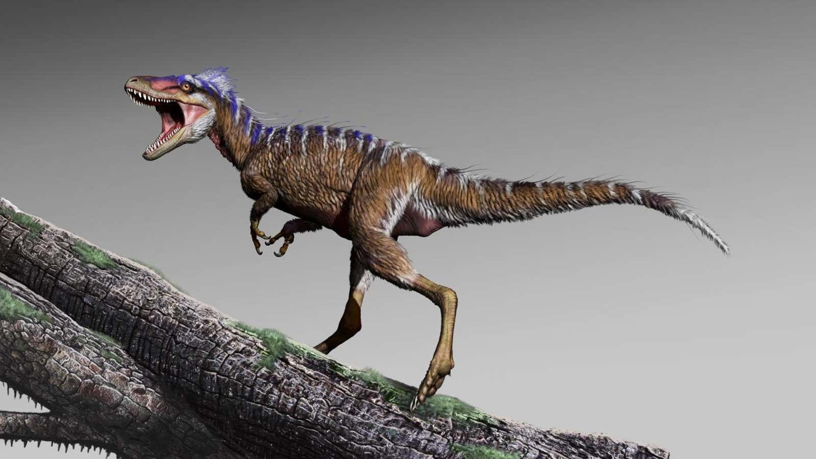 We now know the T. rex evolved from something the size of a deer.