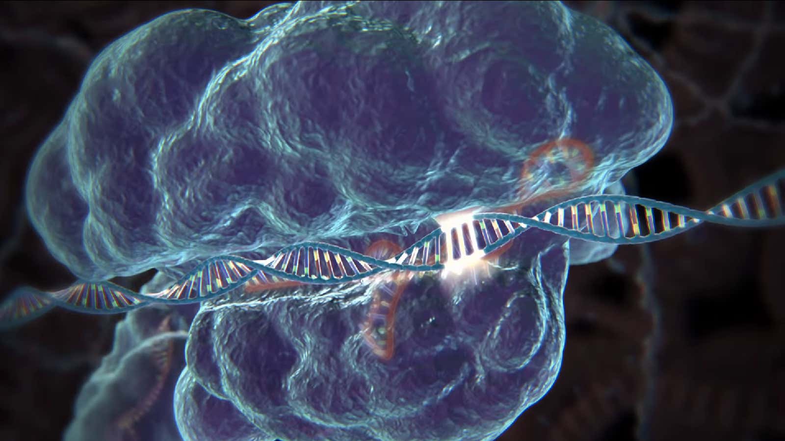 A CRISPR sequence locks on to its target DNA. Don’t worry, we’ll explain below.