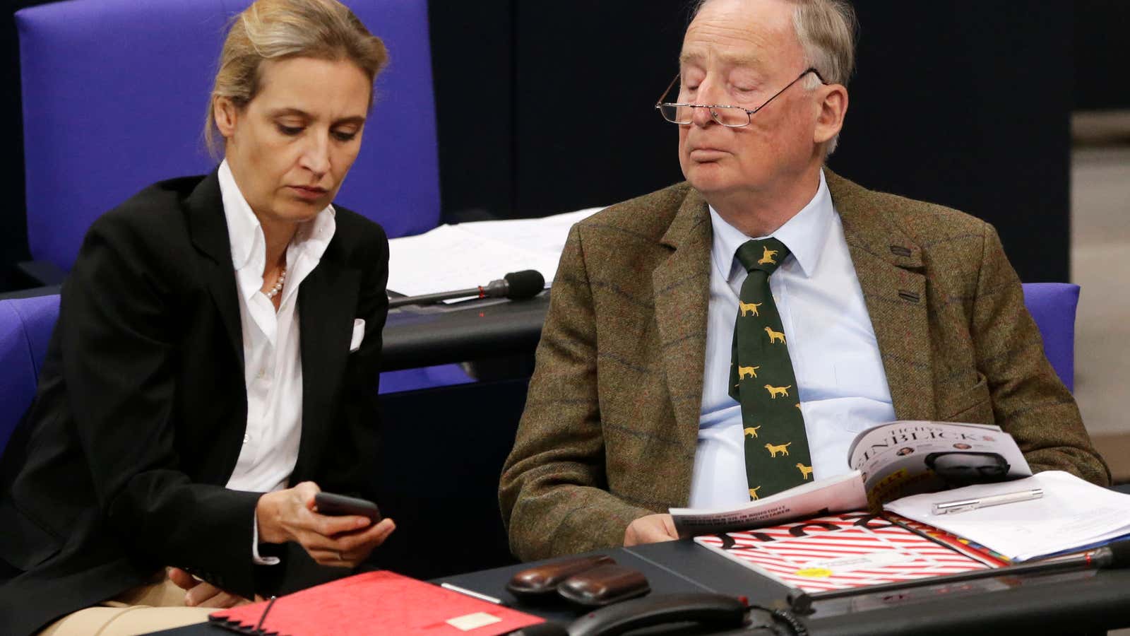 Alice Weidel and Alexander Gauland, parliamentary faction leaders of the Alternative for Germany.