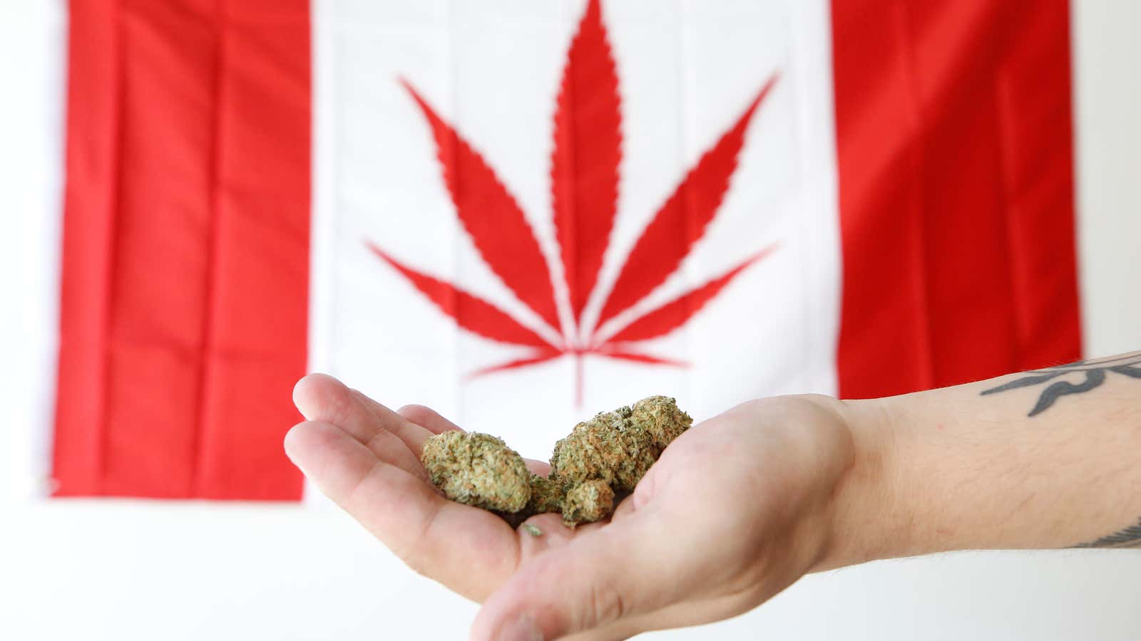 Canada is on a cannabis roll.