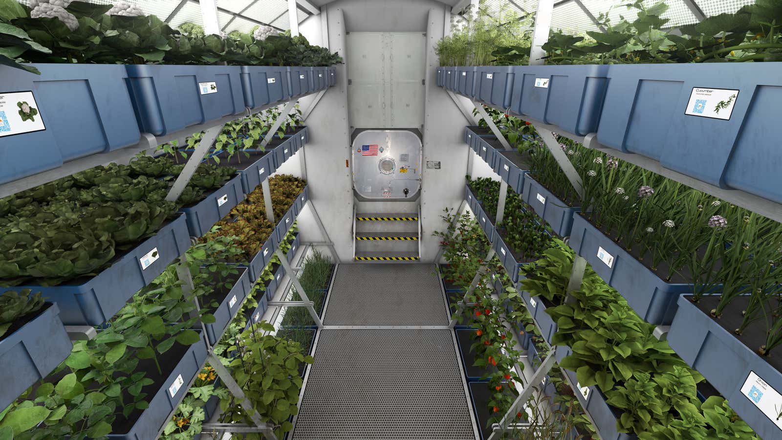 Space gardens of the future?
