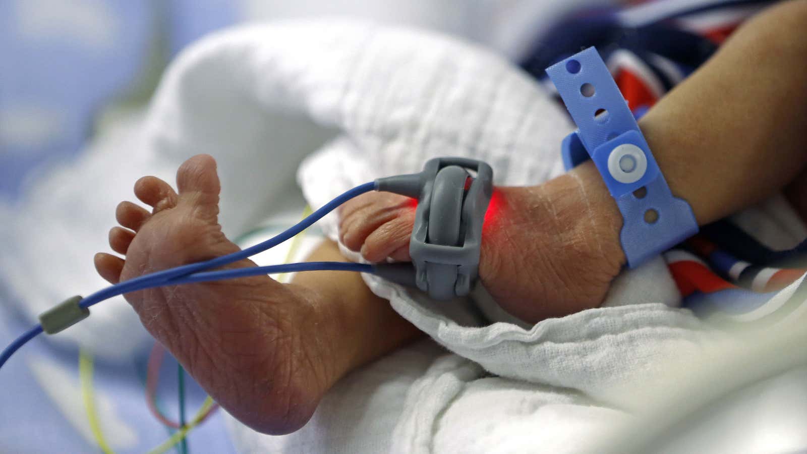 Preterm babies could continue to grow in a womb-like environment.