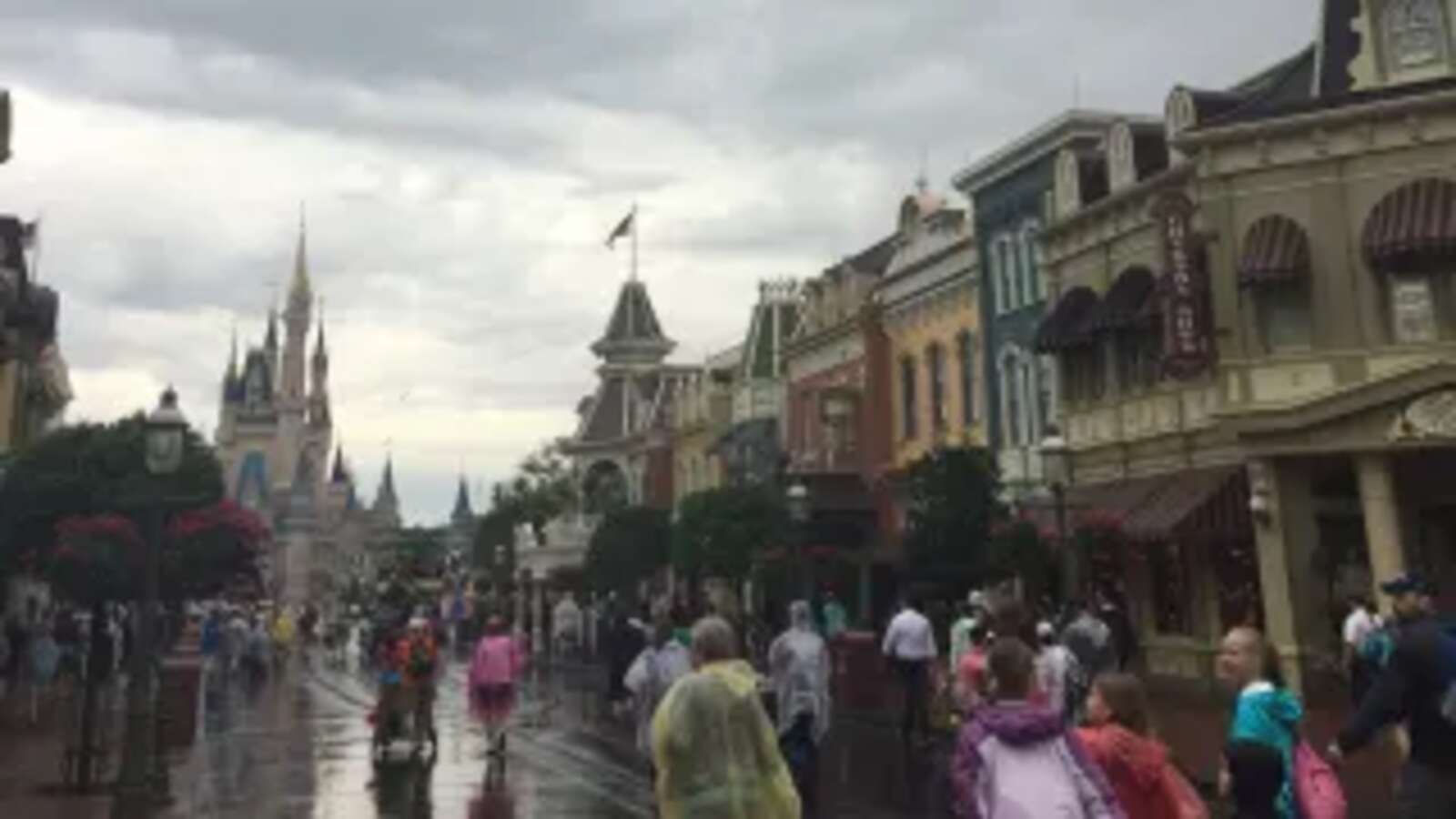 A Newcomer's Take On Disney World