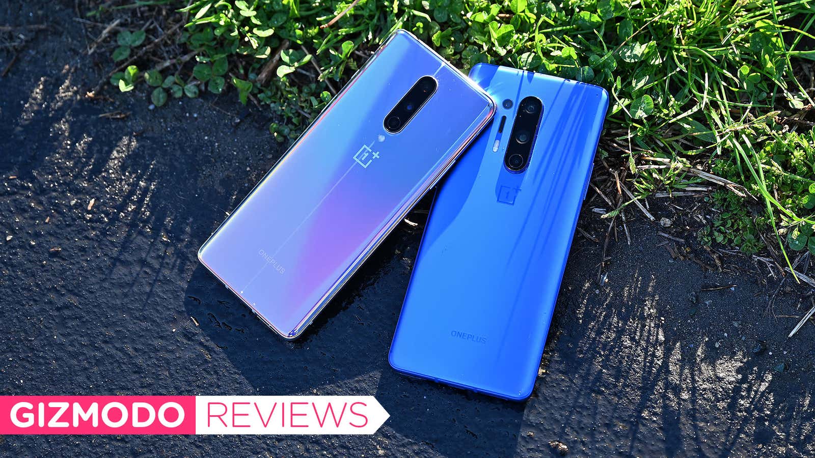 OnePlus 8 Review: This Is the Android Phone for Most People