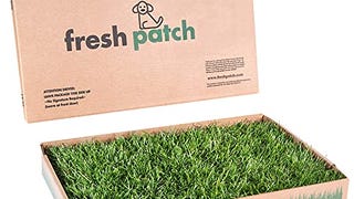 Fresh Patch Standard - Real Grass Pee and Potty Training...