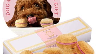 Luxury Handmade Gourmet Strawberry Dog Macarons Treats...