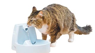 The PetSafe Drinkwell Original Automatic Cat Water Fountain...