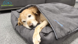 BuddyRest Soothe Weighted Dog Blanket