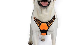 rabbitgoo Dog Harness, No-Pull Pet Harness with 2 Leash...