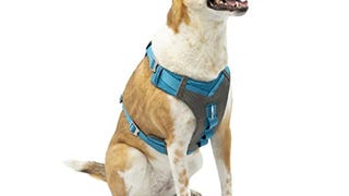 Kurgo Dog Harness for Medium, & Small Active Dogs, Pet...