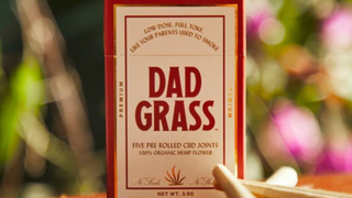 25% off Dad Grass