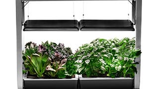 AeroGarden Farm 24Plus with Salad Bar Seed Pod Kit - Indoor...