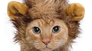 Pet Krewe Cat Lion Mane Halloween Costume – Fits Neck Size...