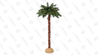 Puelo 6 ft. Pre-Lit Artificial Palm Tree