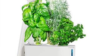 AeroGarden Sprout with Gourmet Herbs Seed Pod Kit - Hydroponic...