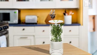 Honey-Can-Do Glass Herb Preserver, Clear/White,