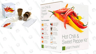 Plant Theatre Sweet & Hot Pepper Seeds