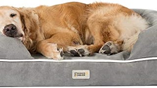 Friends Forever Memory Foam Orthopedic Dog Bed Lounge Sofa,...