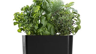 AeroGarden Harvest with Gourmet Herb Seed Pod Kit - Hydroponic...