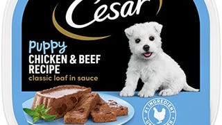 CESAR Puppy Soft Wet Dog Food Classic Loaf in sauce Chicken...