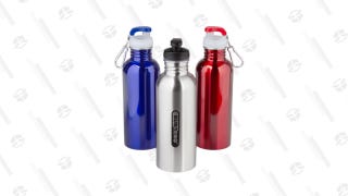 3-Pack: Sub Zero Stainless Bottles 25 oz