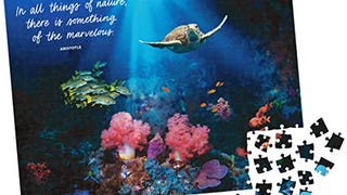 300-Piece Calm Jigsaw Puzzle for Relaxation, Stress Relief,...
