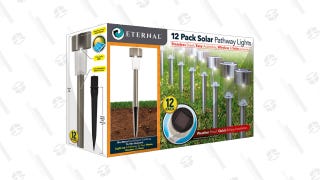 12-Pack: Eternal Living Premium Solar Pathway Lights