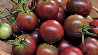 Burpee 'Black Pearl' Hybrid | Cherry Tomato | Extra Sweet...