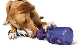 PetSafe Busy Buddy Tug-A-Jug Meal-Dispensing Dog Toy Use...