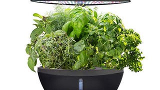 AeroGarden Classic 6 with Gourmet Herb Seed Pod
