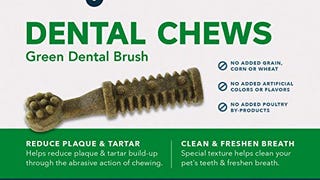 Amazon Brand - Wag Dental Chews - Green Dental Brush - Large,...