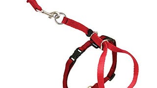 PetSafe Come With Me Kitty Harness and Bungee Leash, Harness...