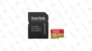 Sandisk 256GB microSD card