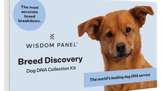 Wisdom Panel 3.0 Canine DNA Test - Dog DNA Test Kit for...