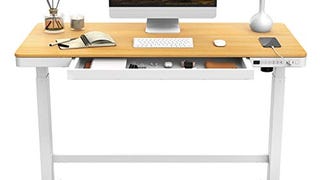 FLEXISPOT EW8 Comhar Electric Standing Desk with Drawers...