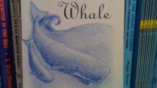 The Year of the Whale