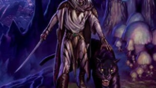 Homeland (Drizzt "4: Paths of Darkness") (Forgotten Realms:...