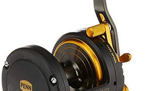 PENN® Fathom® Star Drag