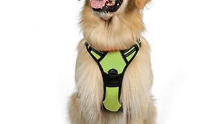 rabbitgoo Dog Harness, No-Pull Pet Harness with 2 Leash...