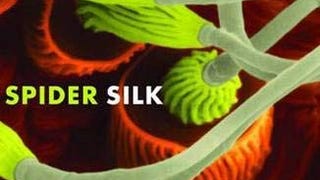 Spider Silk: Evolution and 400 Million Years of Spinning,...