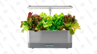 AeroGarden Harvest Elite Slim Stainless Heirloom Salad Kit