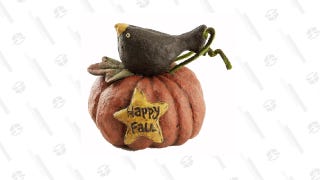 Fall Crow on Pumpkin