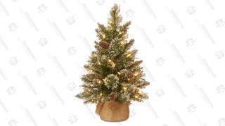 National Tree Company 2' Glittery Bristle Pine Burlap Tree