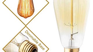 DSYJ for Edison Light Bulbs, Vintage 60 Watt Incandescent...