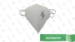 NIOSH & CDC Aprroved N95 Masks (10-Pack)