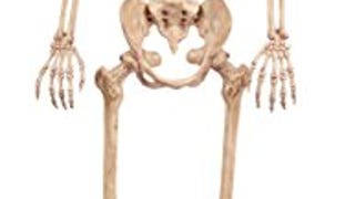 Crazy Bonez Pose-N-Stay Skeleton